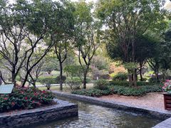 -南宁荔园维景国际酒店·荔园中餐厅