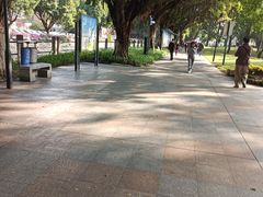 -晓港公园