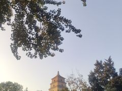 -大慈恩寺(大雁塔)