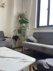 -凡碧诗毛孔收细