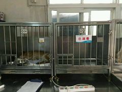 -北京观赏动物医院·24小时大型综合·猫专科·异宠专科