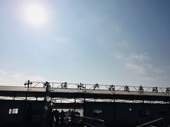 -大湾区中央湿地公园-十九涌