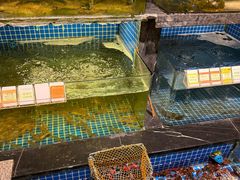 -东门头·江鲜小馆(新天地店)