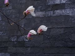 -东华门大街小区