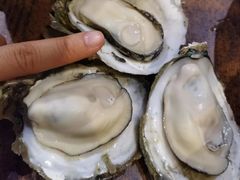 -土蚝·高压锅生蚝(百姓美食街店)