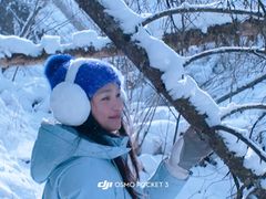 -峡谷浮石林景区