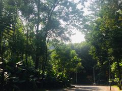-火炉山森林公园