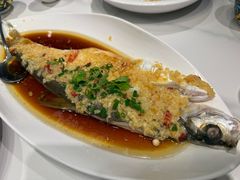 黄椒翘白鱼-羲和雅苑•北京烤鸭(国贸商城店)