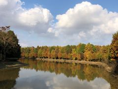 -上海海湾国家森林公园