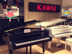 -柏斯音乐艺术中心·钢琴·吉他(上音店)