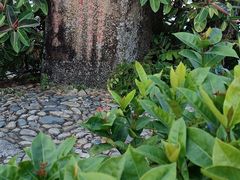 -鹿回头风景区