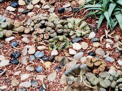 -北京植物园-展览温室