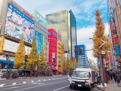 -秋叶原电器街