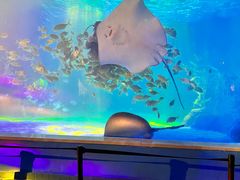 -常州海昌海洋探索馆