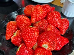 -果松木炭酸菜铜火锅·外婆参鸡汤