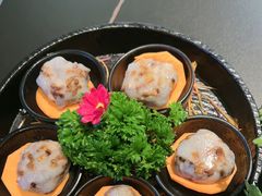 -季季山·云南野生菌火锅(上海首店)