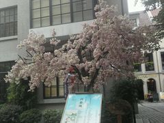 -徐家汇源景区-衡山坊
