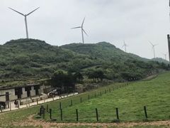 -齐岳山