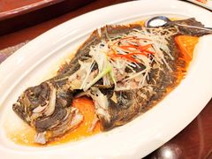 油泼牙片鱼-青岛海天世园酒店-海澜阁中餐厅
