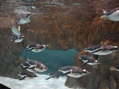 -成都浩海立方海洋公园