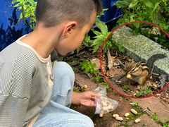 -五营红松林海景区