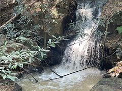 -滴水岩森林公园