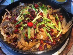 -老板恋上鱼(恒隆广场店)