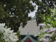 -隆兴寺