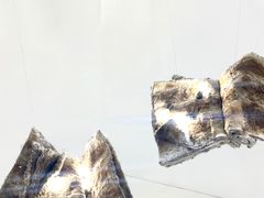 -金茂览秀城