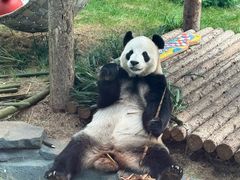 -大连森林动物园