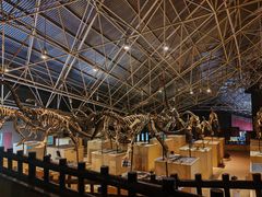 -世界恐龙谷景区