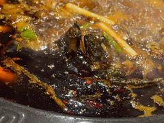 -费明中罗非鱼(大石坝店)