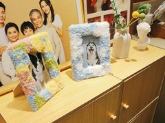-海马体照相馆(大连柏威年购物中心店)