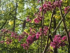 -天台山赤城山景区