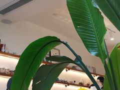 -Line来恩咖啡(石厦花园店)