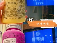 -野萃山·潮汕厚果汁(十亩地店)