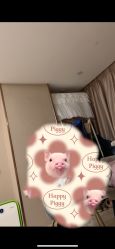 -宝媛会月子中心(越秀店)