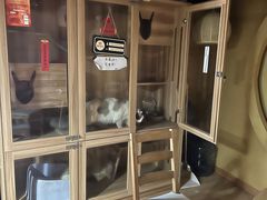 -白兔子密室(长寿路店)