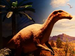 -贝林大翅鲸简餐厅(国家海洋博物馆店)