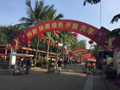 -万绿园