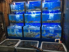 水产区-老东镇啤酒屋海鲜加工·蒸汽海鲜·海鲜烧烤(台东店)