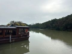 -大湾区中央湿地公园