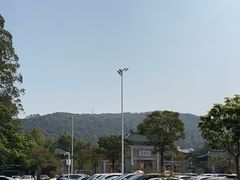 -顺峰山公园
