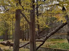 -阳台山自然风景区