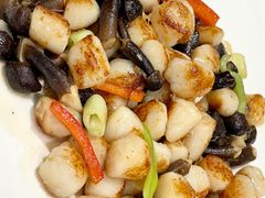 鸡枞菌炒鲜贝-天福苑(崇宁路店)