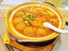 砂锅姜家镇番茄肉丸子-郑百万·百万卤鹅重庆菜馆·家宴旗舰店(动物园店)