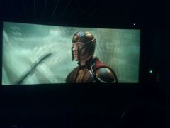 -华联影城(蒙城路店)