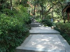 -杭州半山国家森林公园