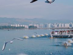 -海埂大坝
