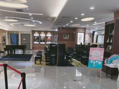 -知音艺术教育培训·钢琴培训·音乐培训(河西金鹰世界校区)